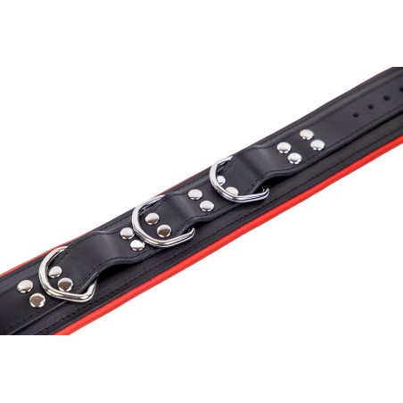 Collier Rembourré en Cuir 3 Anneaux en "D" Noir et Rouge