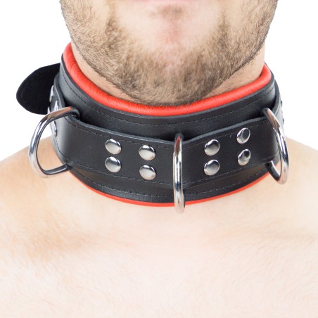 Collier Rembourré en Cuir 3 Anneaux en "D" Noir et Rouge