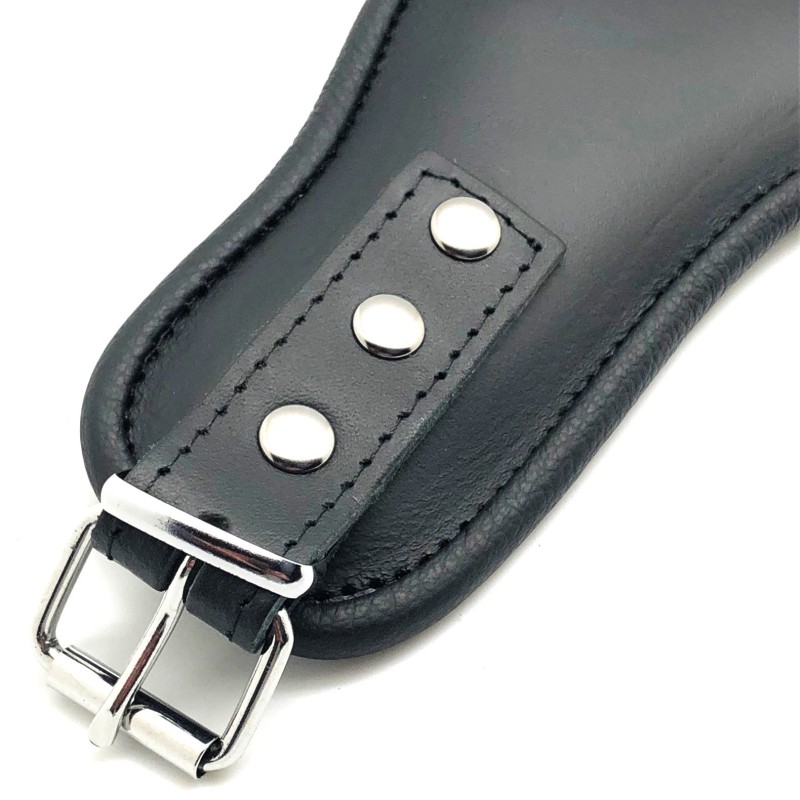 Collier de Maintien en Cuir