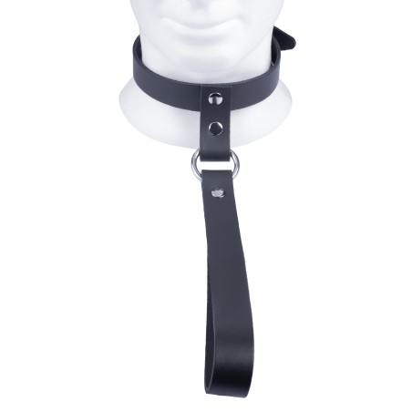 Collier en Cuir avec Laisse Courte