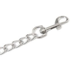 Laisse en Métal de 60 cm de Longueur 2