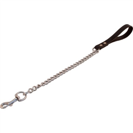 Laisse avec Chaîne de 45cm