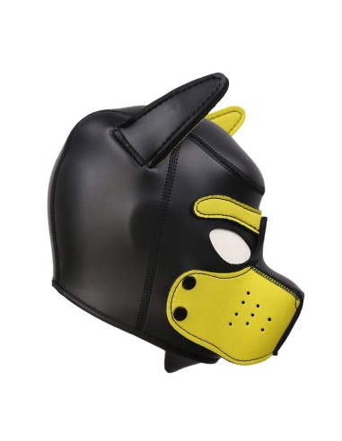 Cagoule Puppy Néoprène Jaune-Noir | FetishXplore