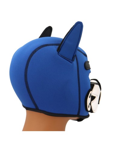 Cagoule Puppy Fox Néoprène Bleu-Blanc | FetishXplore
