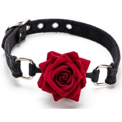 Baillon Boule avec Rose Rouge - FetishXplore