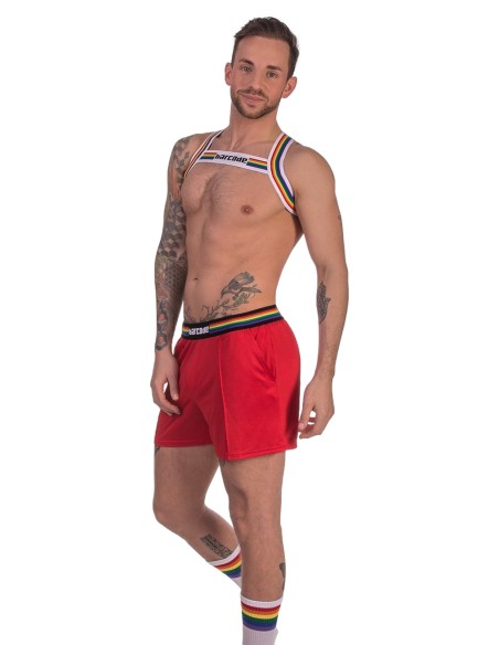 Barcode Pride Elastic Harness White