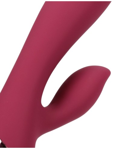 Smooth Silicone Rabbit Vibrator Dark Cherry | FetishXplore