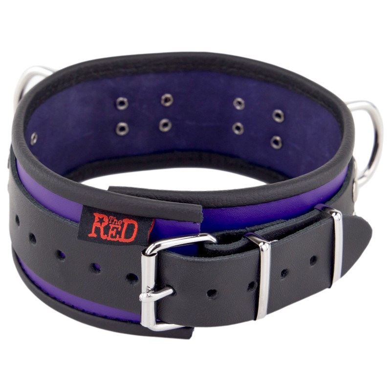 Collier en Cuir Noir et Violet avec Anneaux