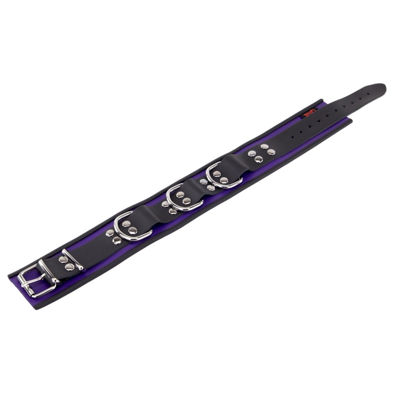 Collier en Cuir Noir et Violet avec Anneaux