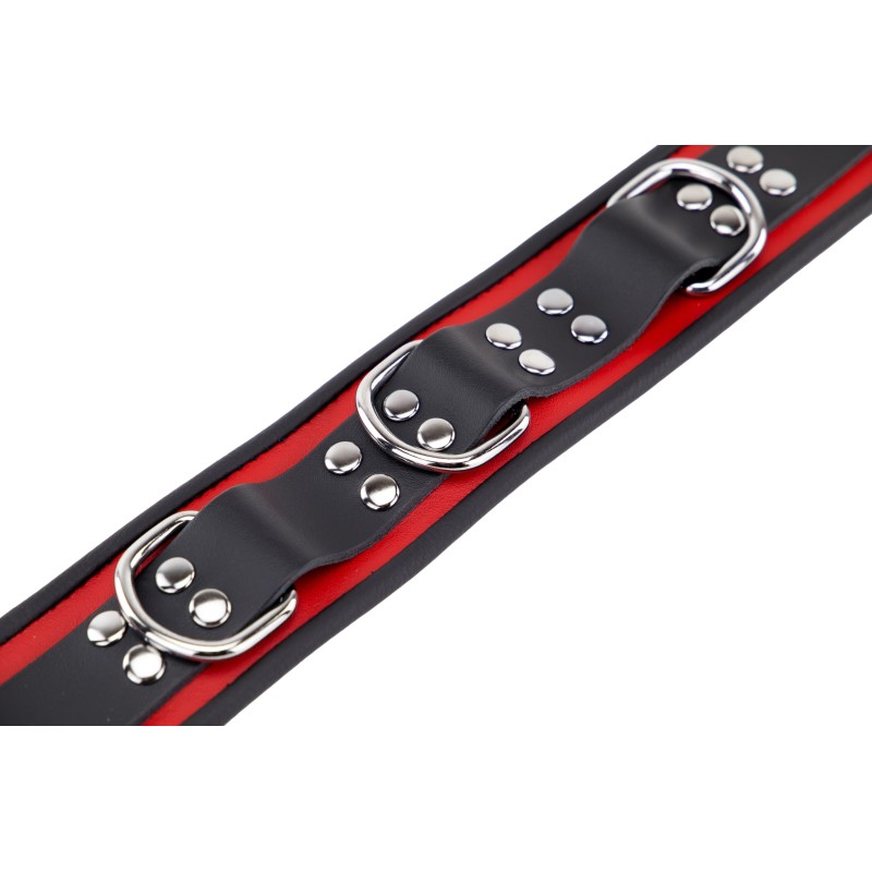 Collier en Cuir Noir et Rouge avec Anneaux