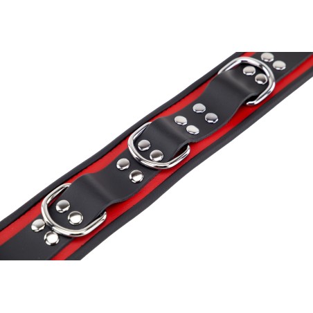 Collier en Cuir Noir et Rouge avec Anneaux