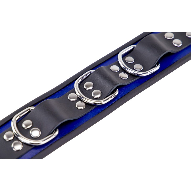 Collier en Cuir Noir et Bleu avec Anneaux